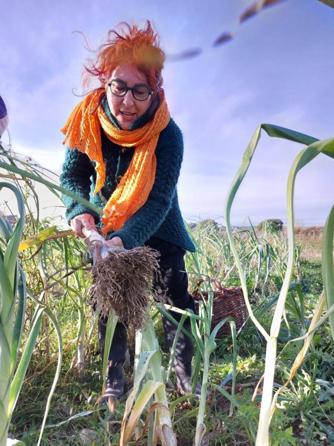 Turismo Rural La Ojinegra Alloza Exteriér fotografie